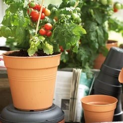 Elho Green Basics 40cm Growpot - Mild Terracotta -Garden Sphere Deals Store 1024608 1