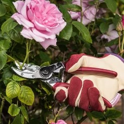 Kent & Stowe Rose Cut & Hold Secateurs -Garden Sphere Deals Store 1031091 2