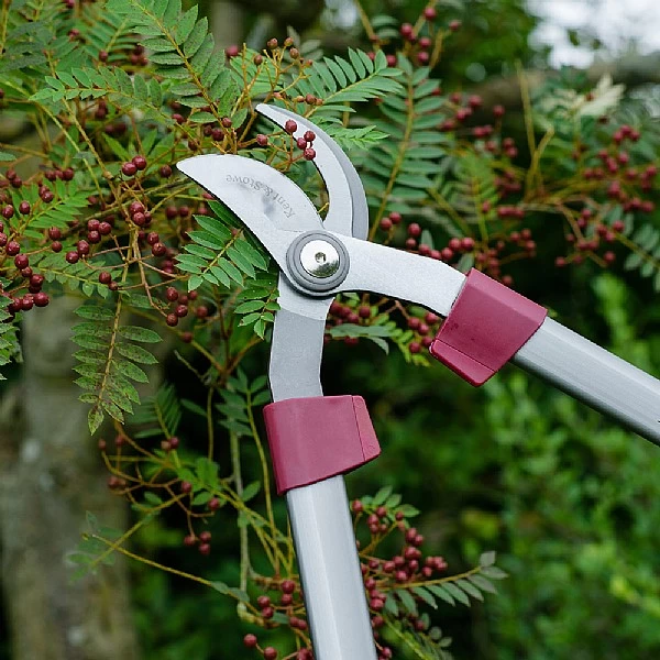 Kent & Stowe Bypass Loppers 2 Kent & Stowe Bypass Loppers - Image 2