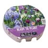 Bio Diversity Ready To Plant Tray 38cm (45 Bulbs)