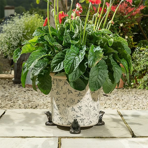 Jardinopia Plant Pot Feet Bronze Frog - Set Of 3 4 Jardinopia Plant Pot Feet Bronze Frog - Set Of 3 - Image 4