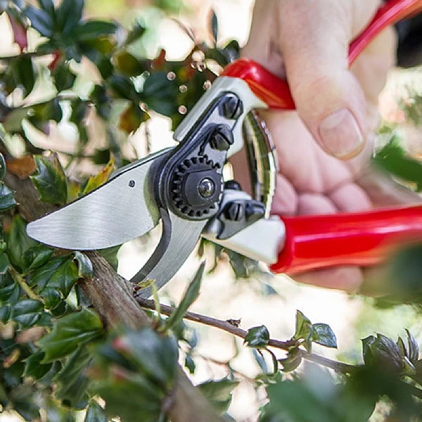 Darlac Expert Rotate Handle Pruner 2 Darlac Expert Rotate Handle Pruner - Image 2