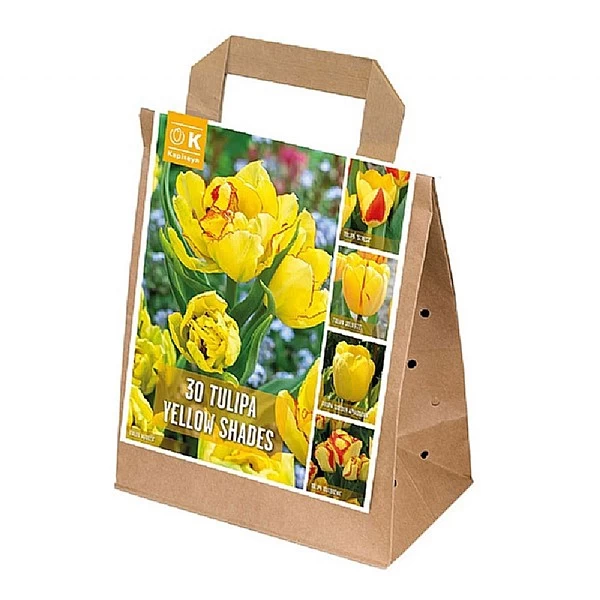 Tulipa Yellow Shades (Bag Of 30) 1 Tulipa Yellow Shades (Bag Of 30)