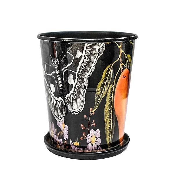 Kew Eclectic Orangery Planter With Saucer 16cm 1 Kew Eclectic Orangery Planter With Saucer 16cm