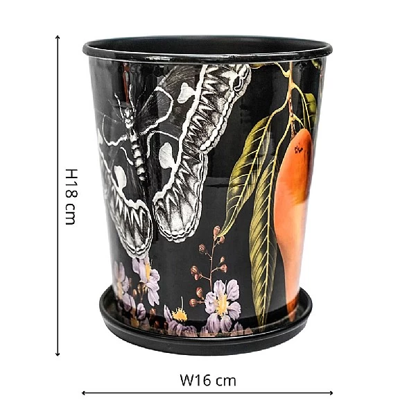 Kew Eclectic Orangery Planter With Saucer 16cm 3 Kew Eclectic Orangery Planter With Saucer 16cm - Image 3