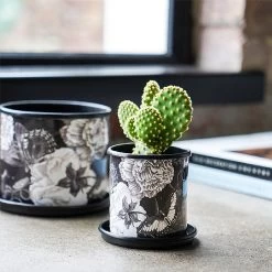 Kew Eclectic Orangery Noir Planter With Saucer 13cm 8 Kew Eclectic Orangery Noir Planter With Saucer 13cm -Garden Sphere Deals Store 1227769 4