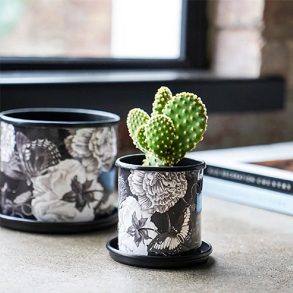 Kew Eclectic Orangery Noir Planter With Saucer 13cm 4 Kew Eclectic Orangery Noir Planter With Saucer 13cm - Image 4