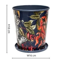 Kew Temperate House Planter With Saucer 16cm -Garden Sphere Deals Store 1227772 4