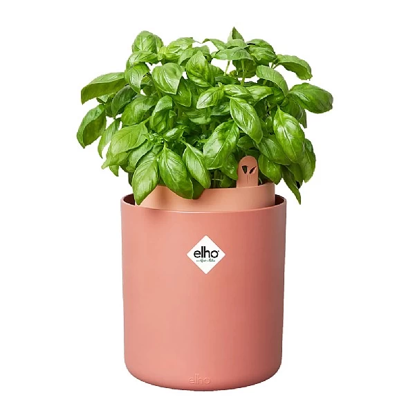 Elho Bouncy Basil Herb Pot Toffee Terracotta 3 Elho Bouncy Basil Herb Pot Toffee Terracotta - Image 3