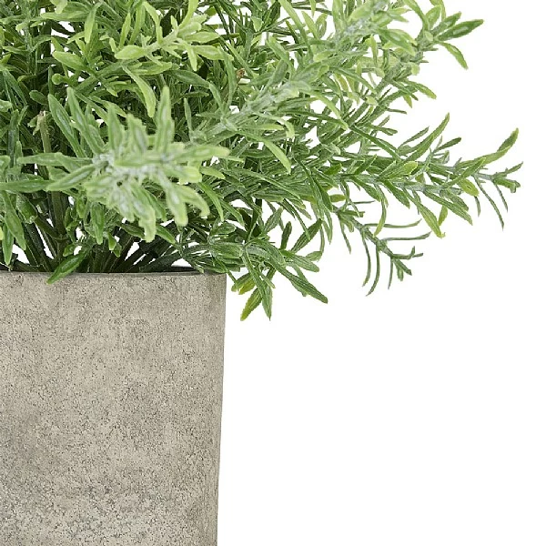 Rosemary Plant Stone Pot 2 Rosemary Plant Stone Pot - Image 2