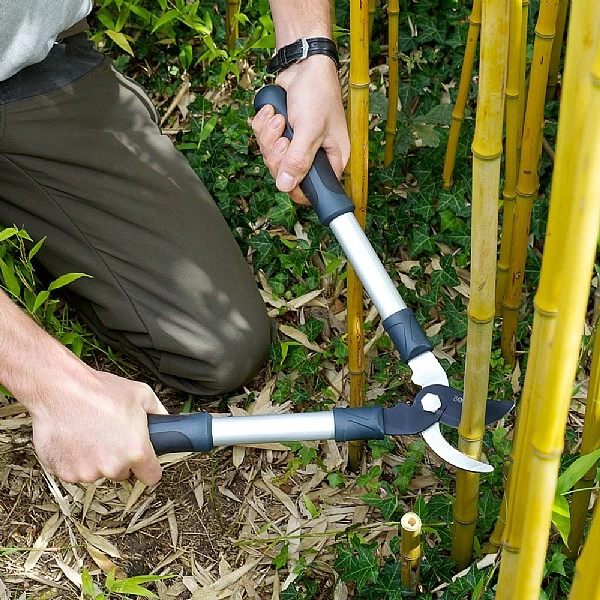 Burgon & Ball RHS Mini Bypass Lopper 2 Burgon & Ball RHS Mini Bypass Lopper - Image 2