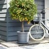 Elho Algarve Cilindro Planter With Wheels 40cm